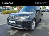 Land Rover Discovery D250 AWD S - Land Rover Gebrauchtwagen in Kassel