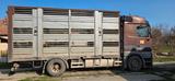 Mercedes-Benz ACTROS 1853 - Mercedes-Benz Actros 1853