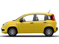 Fiat New Panda - Vorschau Bild 4