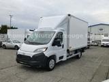 Toyota PROACE MAX Koffer LBW Aut. Navi - Toyota LKWs