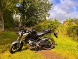 Honda CBF125 Naked Bike | Top Zustand | 9.200 km  - Angebote