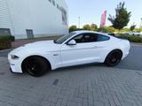 Ford Mustang 5.0 V8 GT Dt Modell 1. Hd., Ford Garanti - Ford Mustang in Ludwigshafen