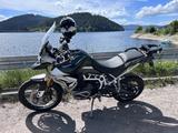 Triumph Tiger 900 Rally Pro - Triumph Tiger 900 Rally Pro