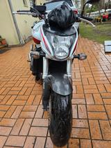 Honda Hornet CB600FA - HONDA HORNET