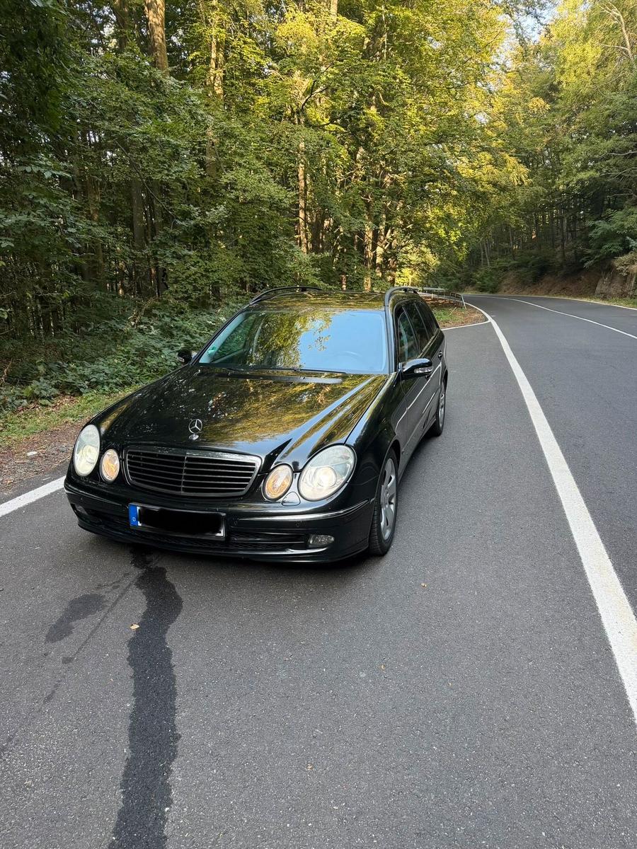 Mercedes-Benz E220 2006 — rear view