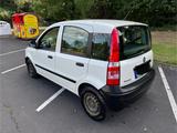 Fiat Panda 1.1 8V Active - Fiat Panda Active mit Benzin-Antrieb