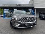 Hyundai Santa Fe Prime 4WD Seven *8-Fach Bereift*NAVI-KO - Hyundai SANTA FE: Seven