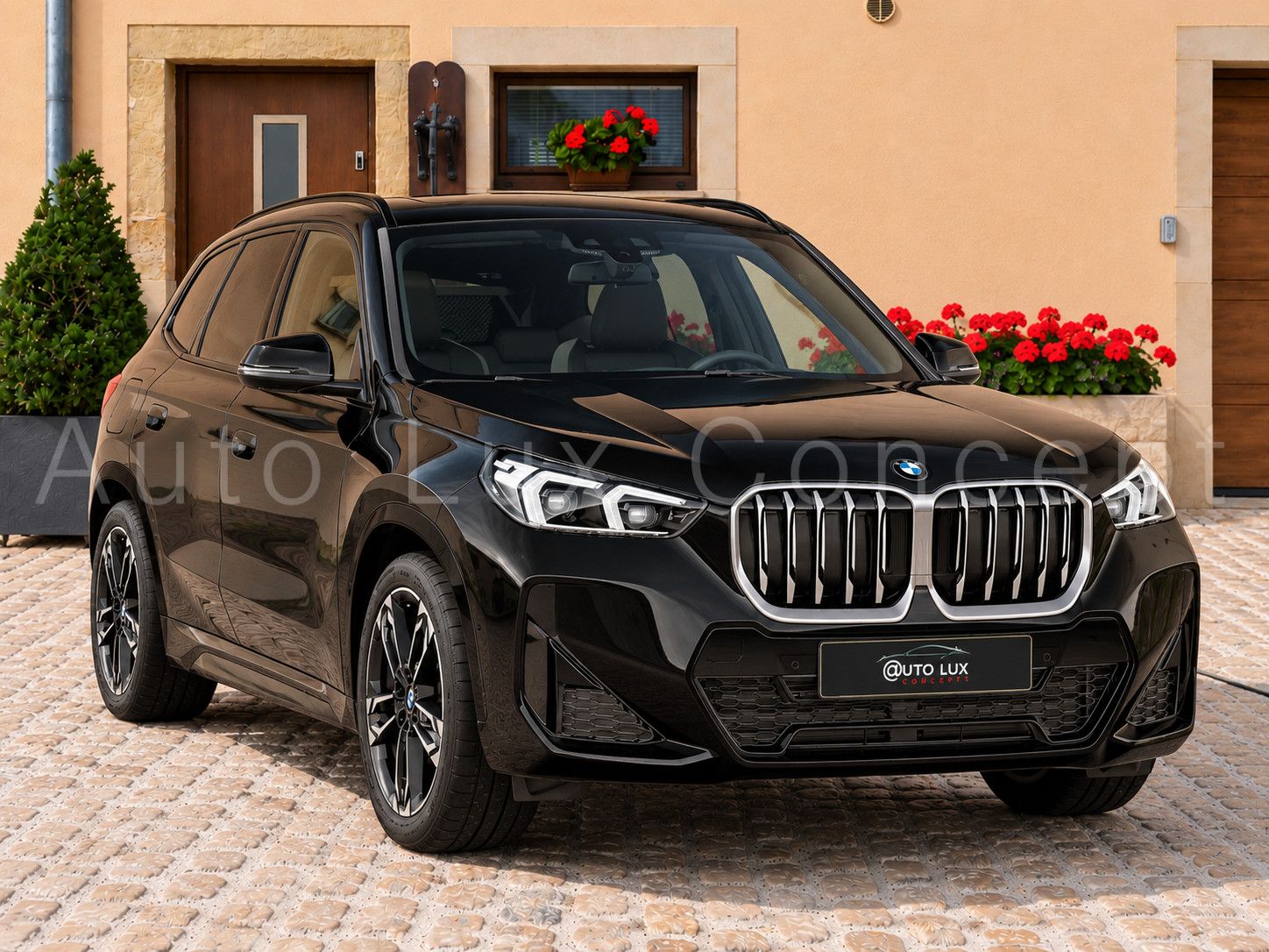 BMW X1 xDrive23d M Sport/Pano/ACC/Massage/Harman/LED imagem 2
