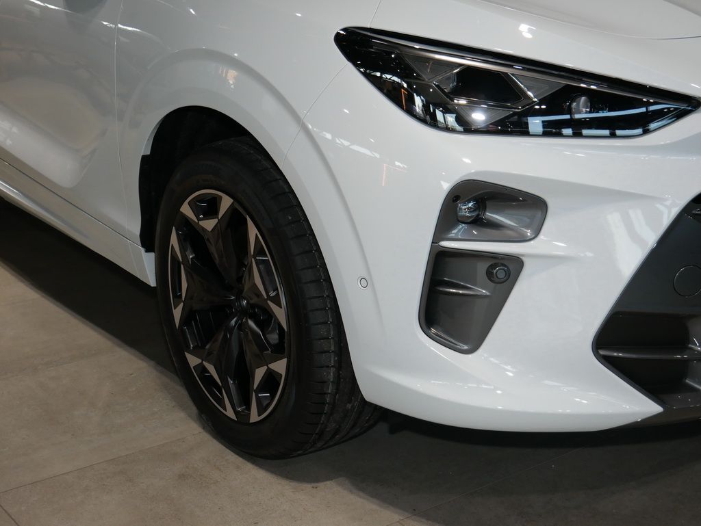 Cupra Terramar - Bild 4