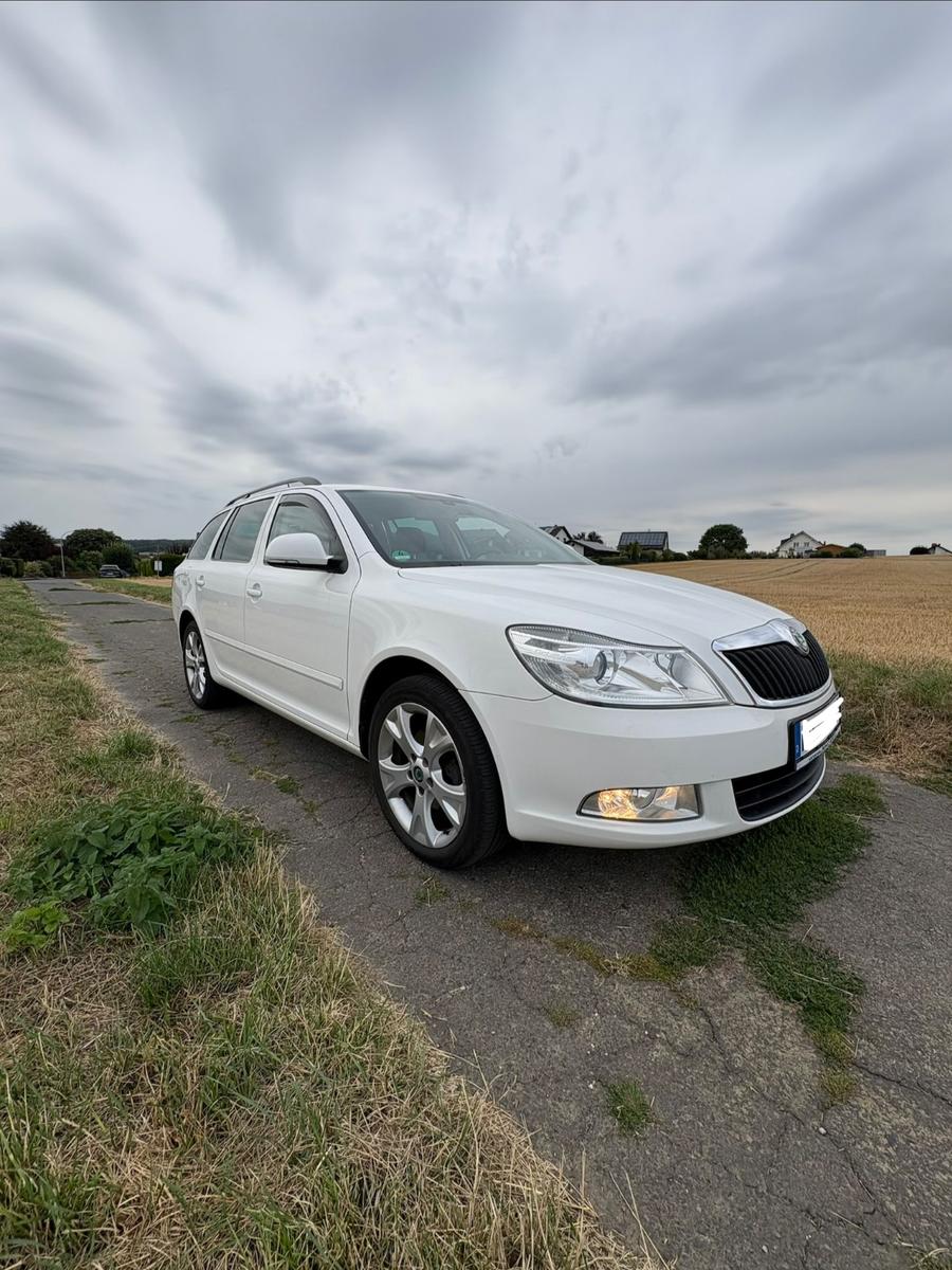 Skoda Octavia 2011 — photo 5