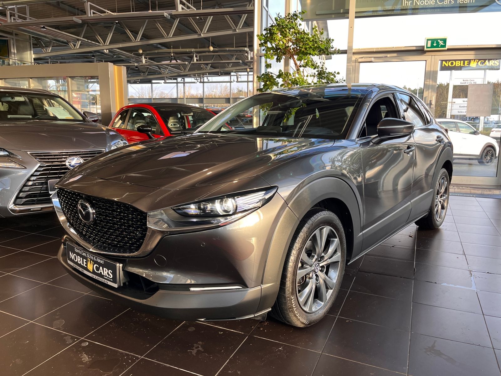 Fahrzeugabbildung Mazda CX-30 Selection AWD AHK 360° MATRIX LED NAV 18"