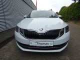 Skoda Octavia Combi 1.4 TSI Style LED Navi Klima SHZ P - Skoda in Celle