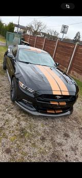 Ford mustang - Ford Mustang: For