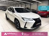 Lexus UX 250h  Luxury Line|360°|Schiebedach - Lexus Gebrauchtwagen von 2022