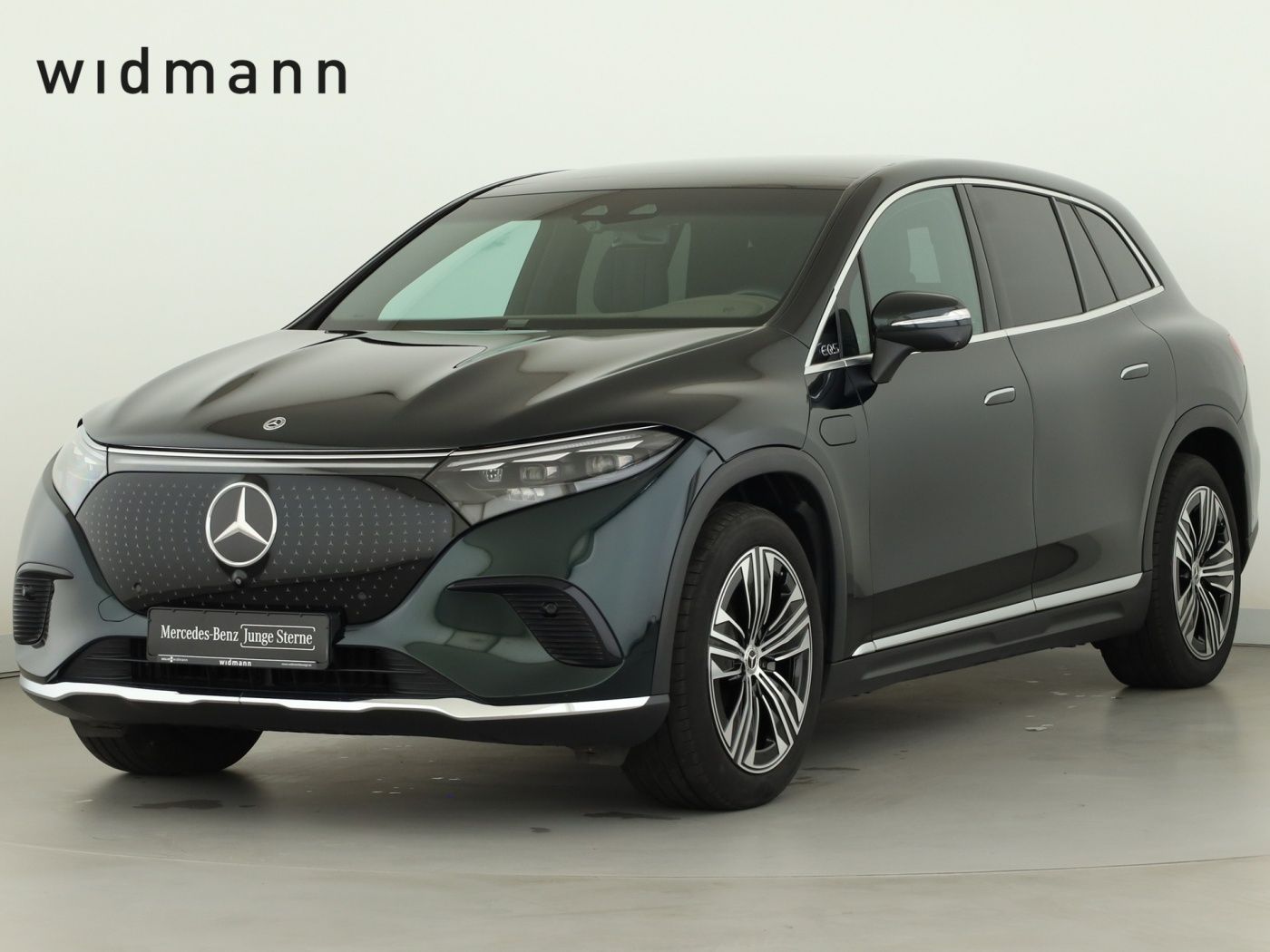 Mercedes-Benz EQS 450 4M SUV Dig.Light AHK Leder Burmester 21' foto 1