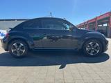 Volkswagen Beetle 1.4 TSI Design Design - Volkswagen Beetle aus 2012