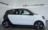 Smart Forfour EQ passion *1.Hand *SHZ *Tempomat *Klima - Smart ForFour in Wuppertal