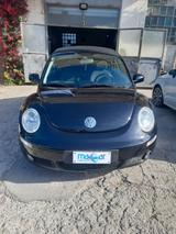 Volkswagen New Beetle 1.9 TDI 105CV Cabrio Lim.  - Volkswagen New Beetle mit Diesel-Antrieb: Cabrio, 1.9