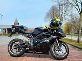 Triumph Daytona 675 - TRIUMPH DAYTONA 675