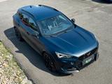 Cupra Formentor VZ 2.5 TSI NAVI LED SHZ KAMERA 360° - Cupra Formentor: Vz5
