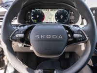 Skoda Kamiq - Vorschau Bild 20