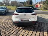 Mazda CX-30 Selection SkyActive Bose Sound - Mazda Gebrauchtwagen von 2019