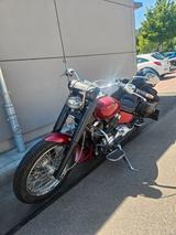 Yamaha XVS 650 Dragstar Custom Chopper*Falcon*LED - YAMAHA DRAGSTAR 650