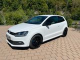 Volkswagen Polo 1.4 TSI BlueGT - Volkswagen Polo: Bluegt