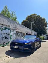 Ford Mustang 3,7 V6 Automatik - Ford Mustang mit Benzin-Antrieb: Limousine