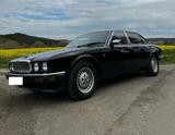 Jaguar XJ40 Sovereign 3,2 Liter Oldtimer - Jaguar XJ40 von privat