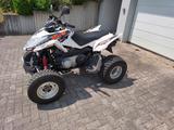 Arctic Cat DVX 300 - ARCTIC CAT MOTORRAD