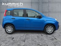 Fiat Panda - Vorschau Bild 3