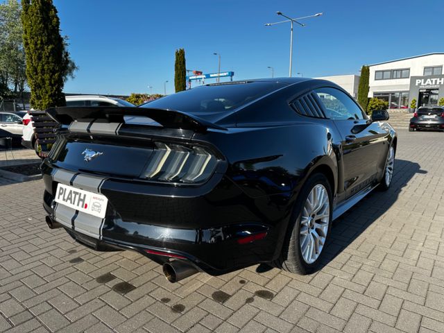 Ford Mustang  USA Shelby Optik