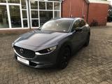 Mazda CX-30 SKYACTIV-X 2.0 HOMURA PRE-P - Mazda CX-30 Homura mit Hybrid-Antrieb (Benzin/Elektro)