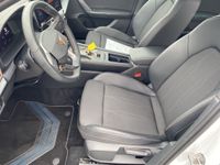 Cupra Leon - Vorschau Bild 8