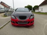 Seat Leon 2.0 TDI PD DPF Comfort Limited 2-Hand - Seat Leon aus 2007