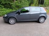 Fiat Punto 1.2 8V - 69PS - Fiat Punto: 1.6