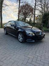 Mercedes-Benz Mercedes Benz E 250 4 MATIC Diesel - : Mercedes Benz E 250 Diesel