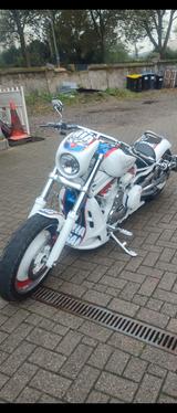 Harley-Davidson V-rod Airmatic, 300er Reifen,  Custom.. - Offers