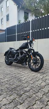 Harley-Davidson IRON 883 - Motorräder in Wiesbaden