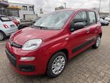Fiat Panda 1.0 Hybrid SITZHEIZUNG,ALLWETTER,TFT-TACHO - Fiat Panda Gebrauchtwagen in Karlsruhe