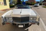 Cadillac Eldorado *Top Zustand* - Cadillac Eldorado Benziner Gebrauchtwagen