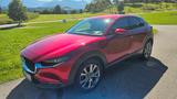 Mazda CX-30 1.8 D Selection ACC-360Kamera-LED-HUD-WRer - Mazda CX-30 Diesel Gebrauchtwagen