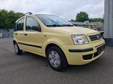 Fiat Panda 1.2 8V Dynamic, Klima, Servo, ZV, el.FH... - gebrauchte Fiat Panda aus dem Jahr 2008