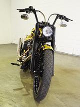 Harley-Davidson Softail Kodlin Skull-Flames *BEST OF SHOW* - HARLEY-DAVIDSON 2004 SOFTAIL