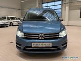 Volkswagen Caddy Maxi 2.0 TDI Highline DSG/Bi-Xenon/AHK/Bea - Volkswagen Caddy Maxi: Dsg