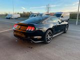 Ford Mustang 2.3 EcoBoost 1 Hand  - Ford Mustang Gebrauchtwagen in Frankfurt
