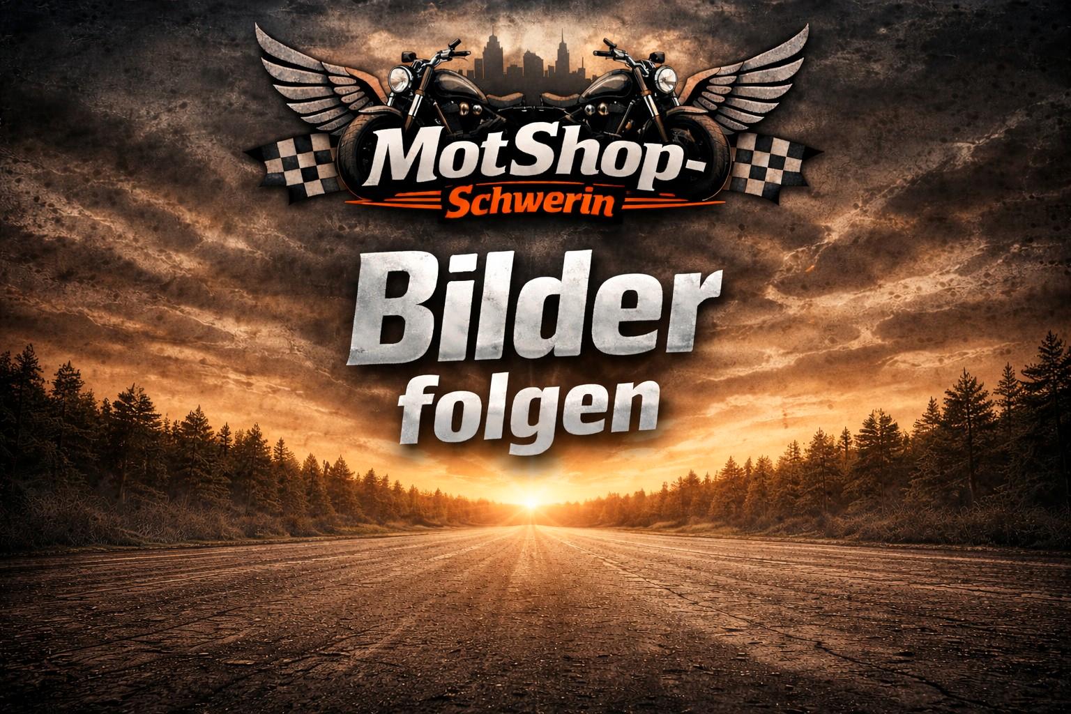 GOES Terrox 400 L / ABS / T3b / 4x4 / Garantie