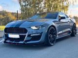 Ford Mustang 5.0 GT  Shelby - Ford Mustang in Hamm