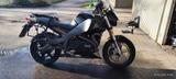 Buell 1200 Xb12Xt - BUELL MOTORRAD